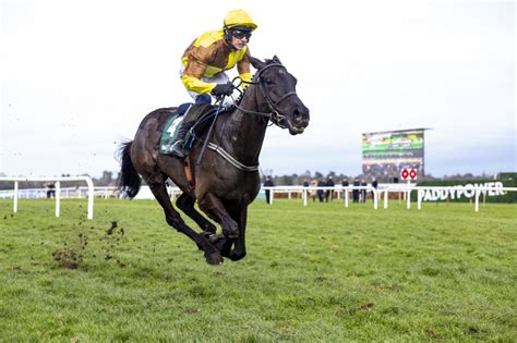 gold cup tips|Cheltenham Festival Tips: Ultimate 2024 Cheltenham .